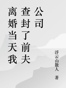 《离婚当天我查封了前夫公司》封面